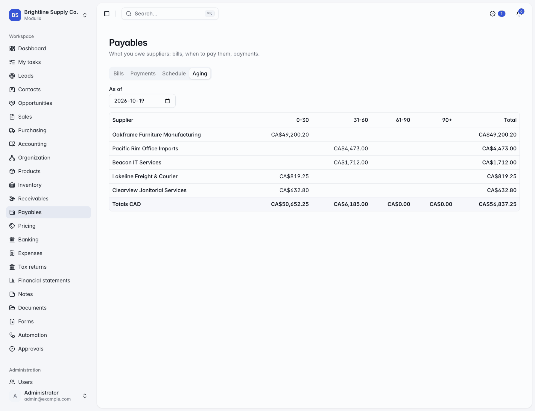 Accounts payable aging by supplier with day buckets and totals